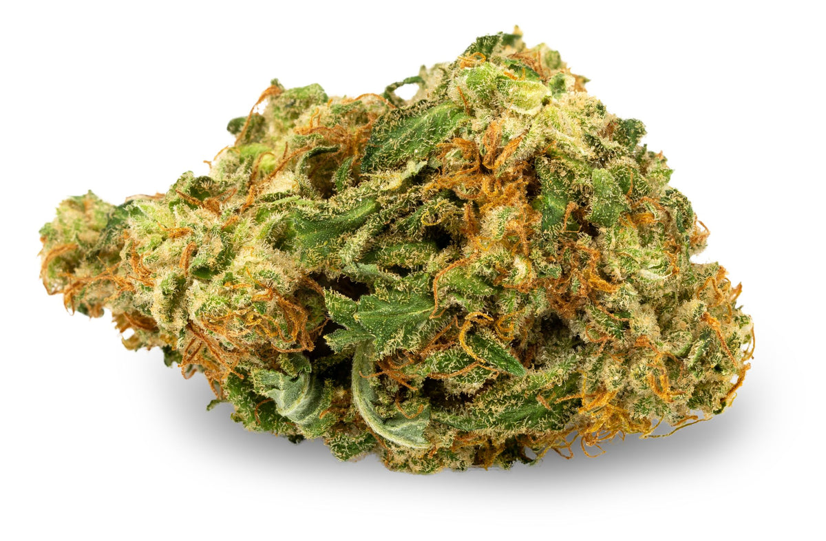 AURORA BLUE DREAM (S) DRIED - 1G