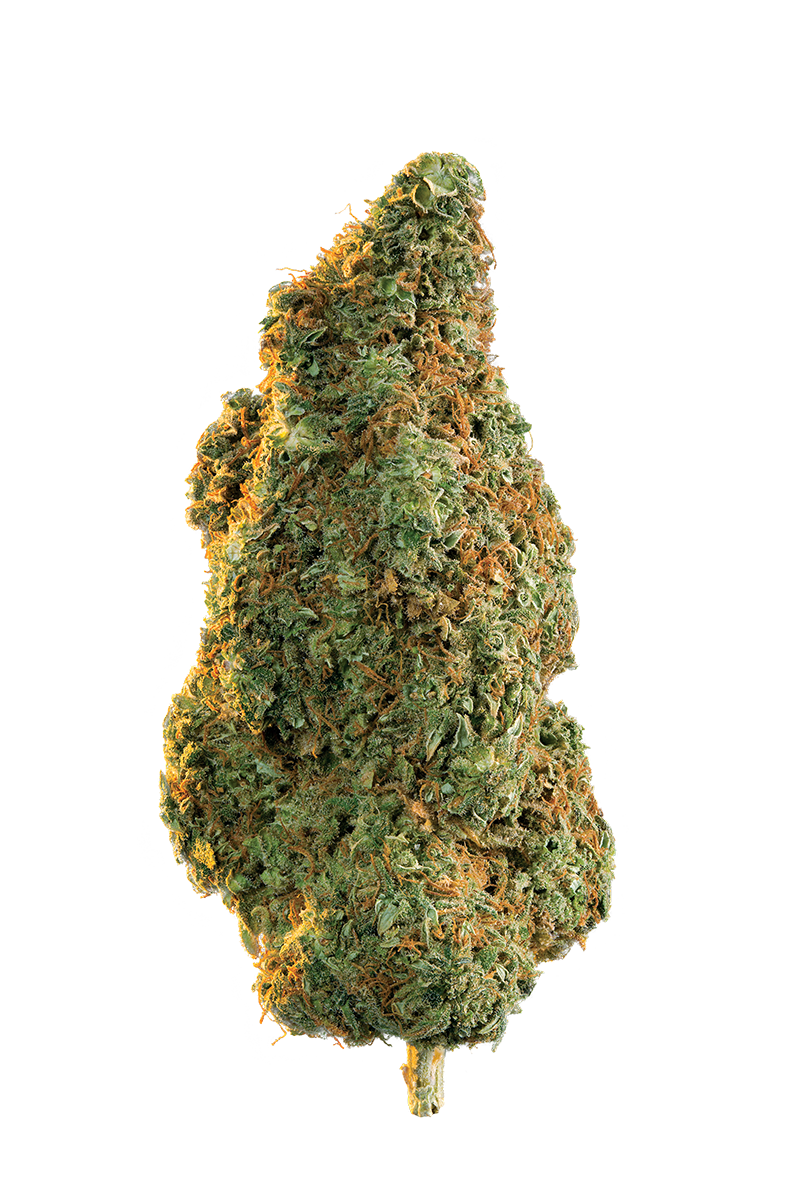 EDISON CASA BLANCA (IND) DRIED - 3.5G