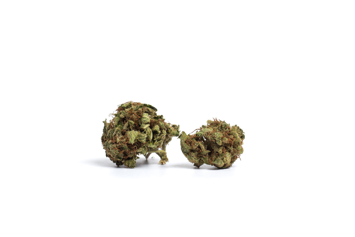 SYNR.G TROPICAL BREEZE (H) DRIED - 3.5G