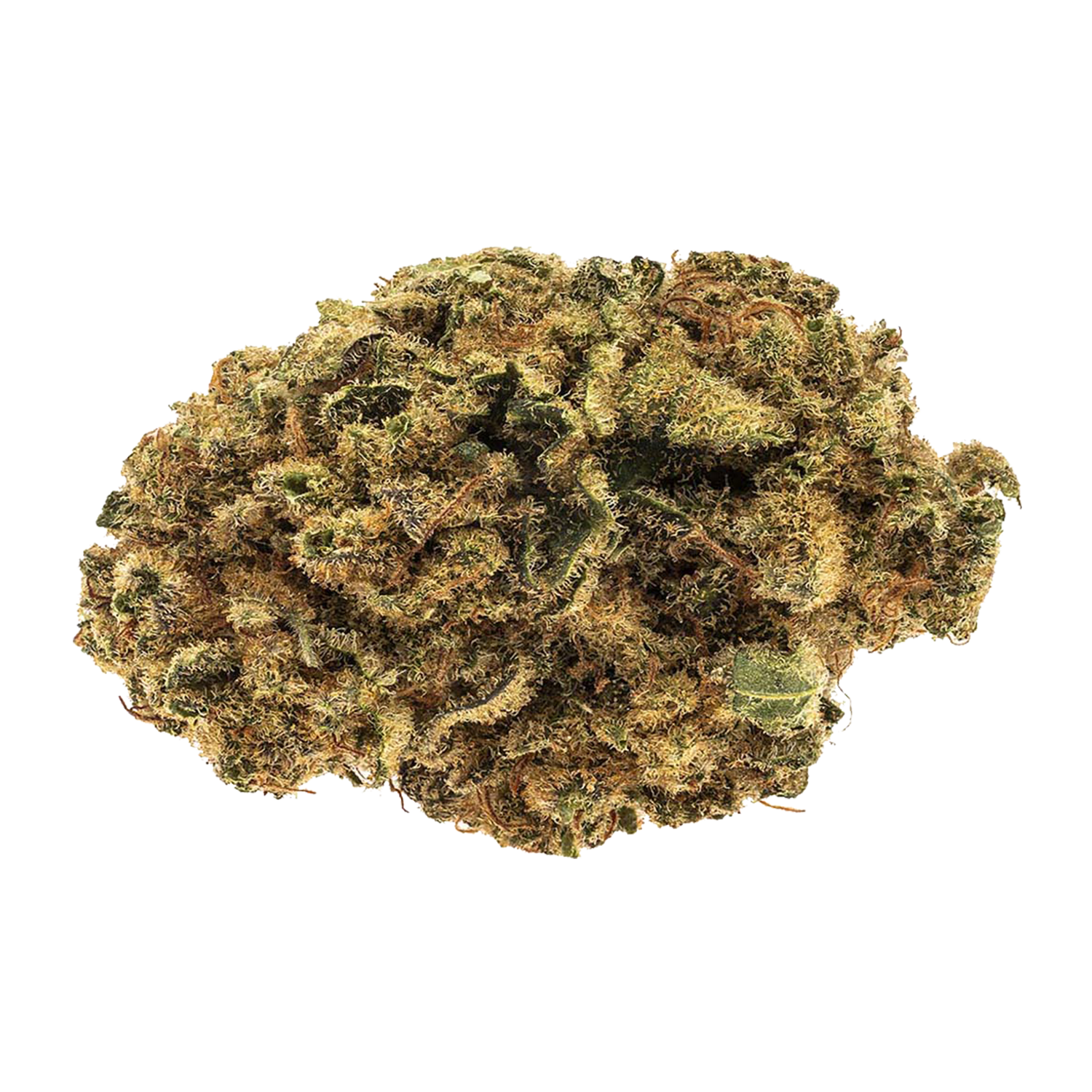 RIFF BLUE NINETY EIGHT (H) DRIED - 1G