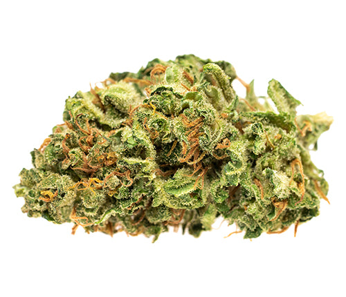 GOOD SUPPLY JEAN GUY (S) DRIED - 1G