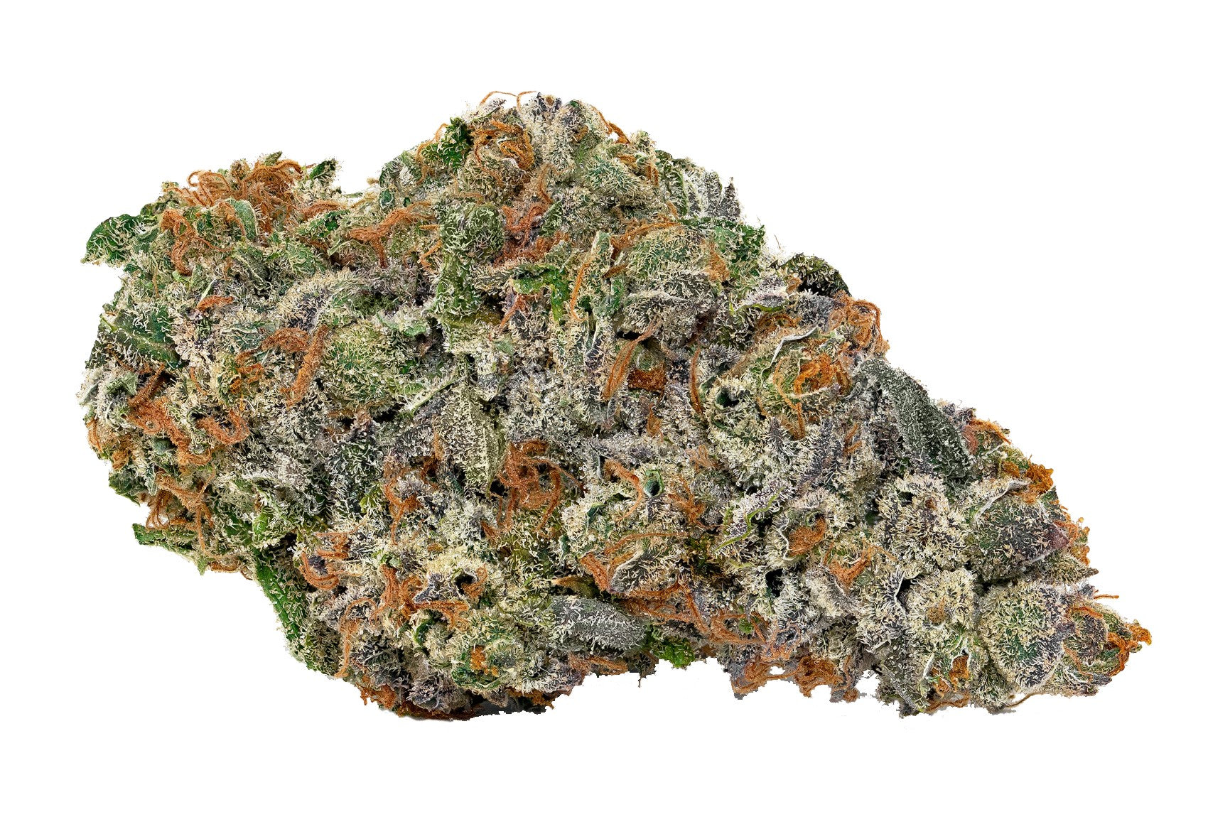 BROKEN COAST WHITE WALKER KUSH (KEATS) (H) DRIED - 1G