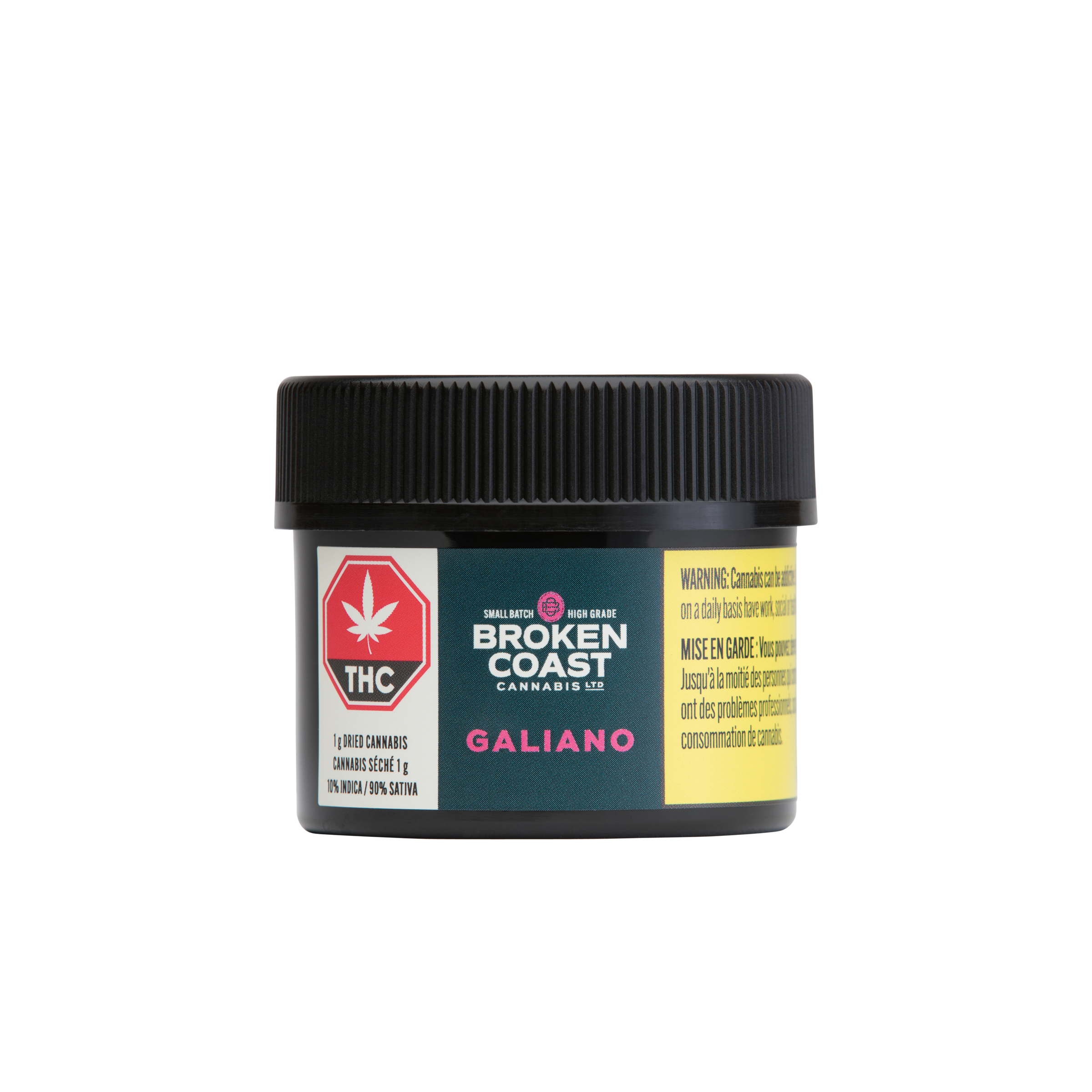 BROKEN COAST NORTHERN LIGHTS HAZE (GALIANO) (S) DRIED - 1G