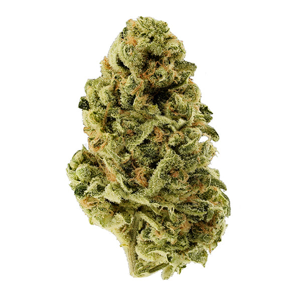 TANTALUS LABS BLUE DREAM (S) DRIED - 3.5G