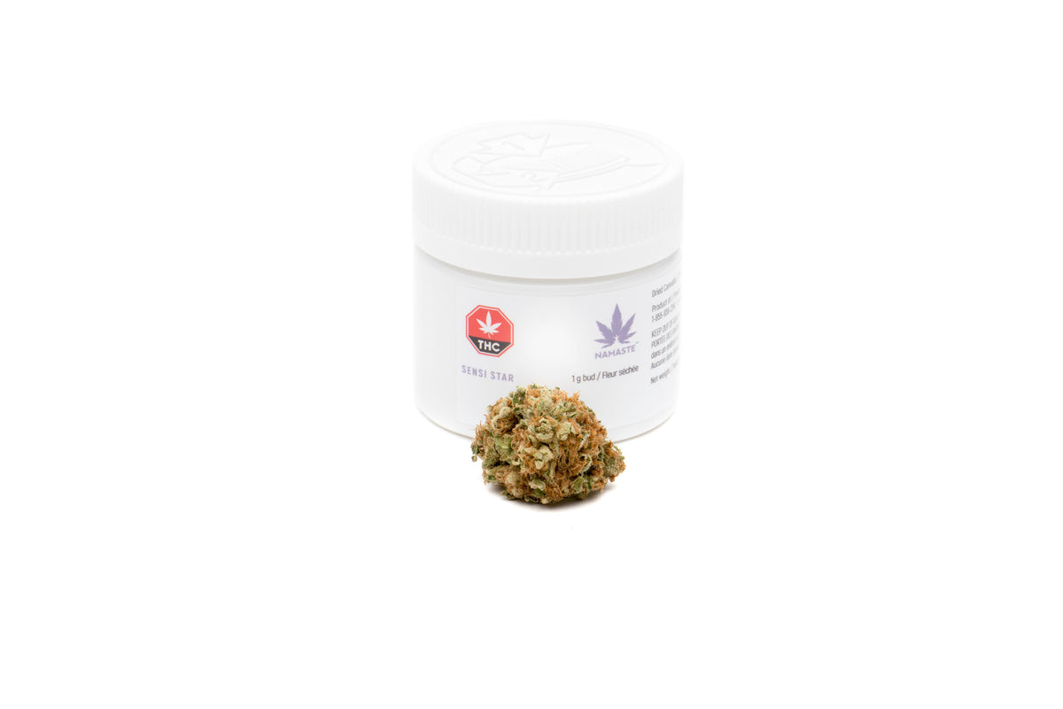NAMASTE SENSI STAR (IND) DRIED - 1G