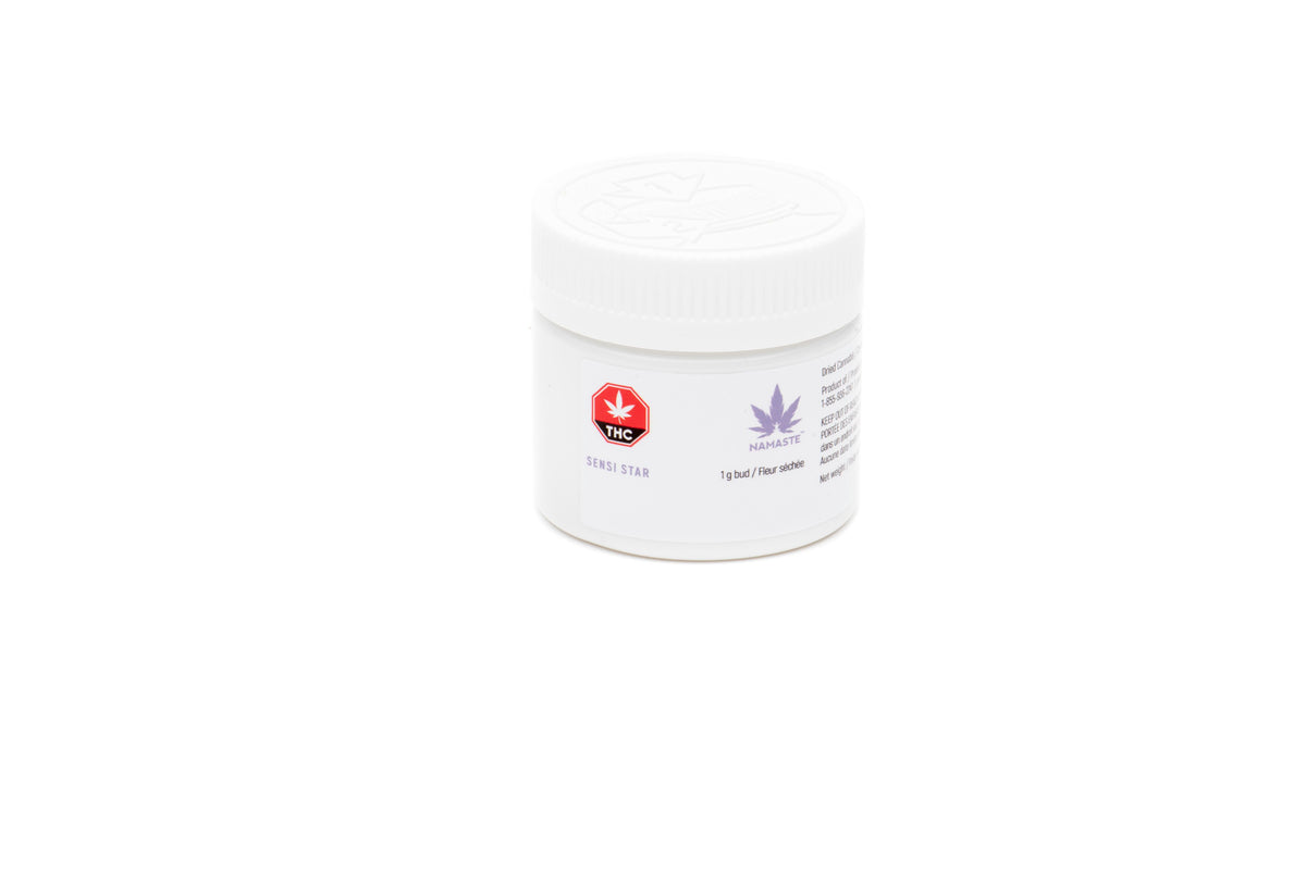 NAMASTE SENSI STAR (IND) DRIED - 1G