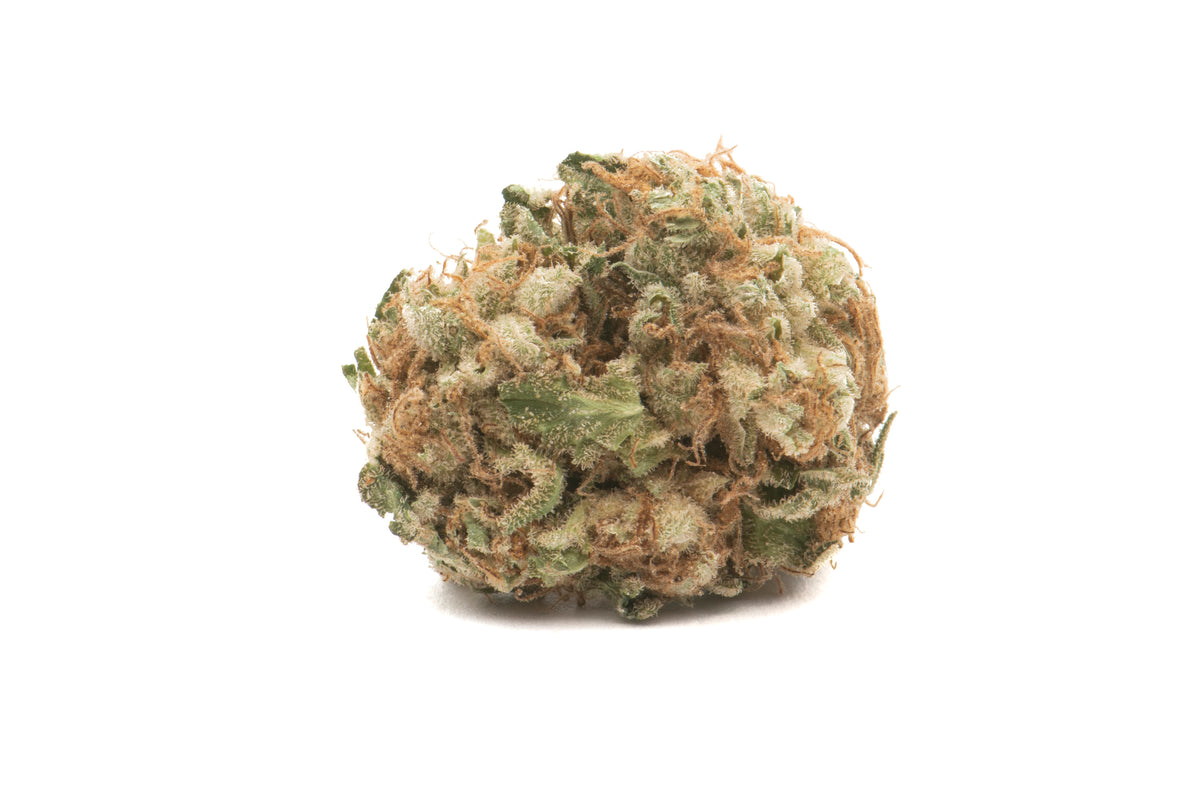 NAMASTE SENSI STAR (IND) DRIED - 1G