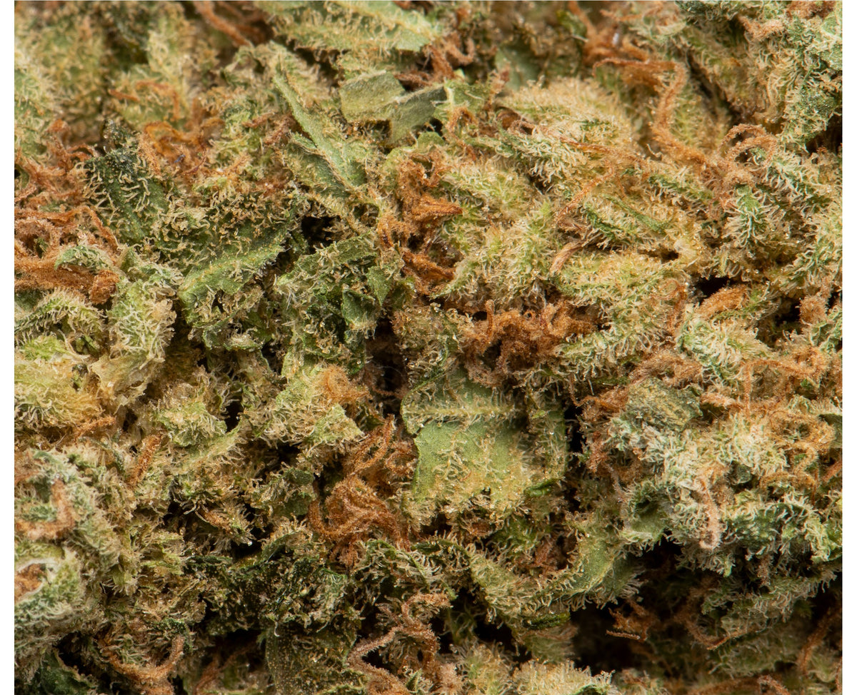 NAMASTE MK ULTRA (IND) DRIED - 1G