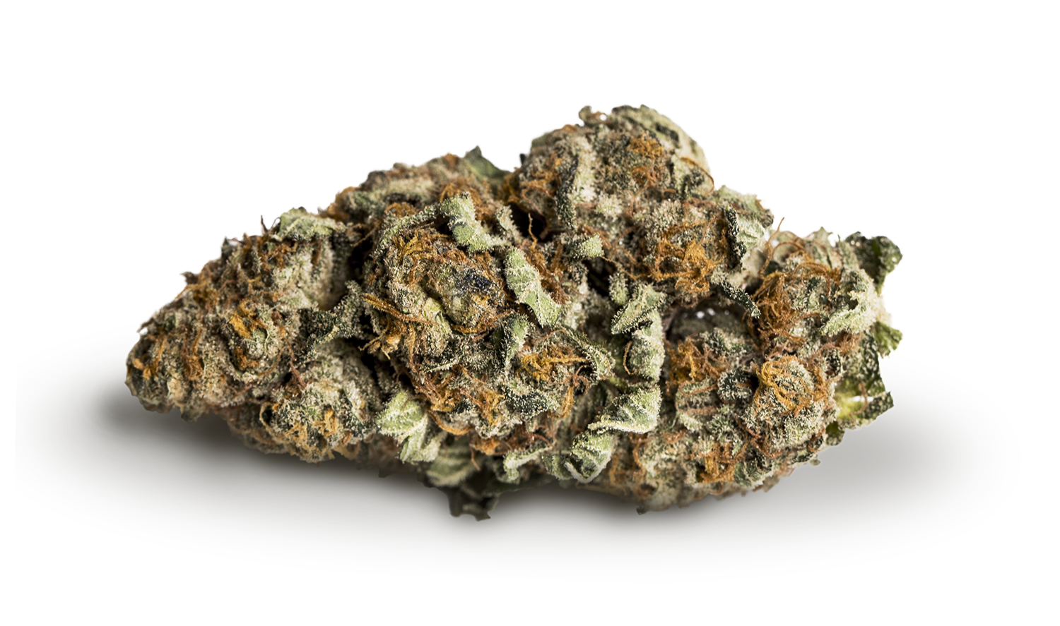 KIWI CANNABIS CALI-O (H) DRIED - 3.5G
