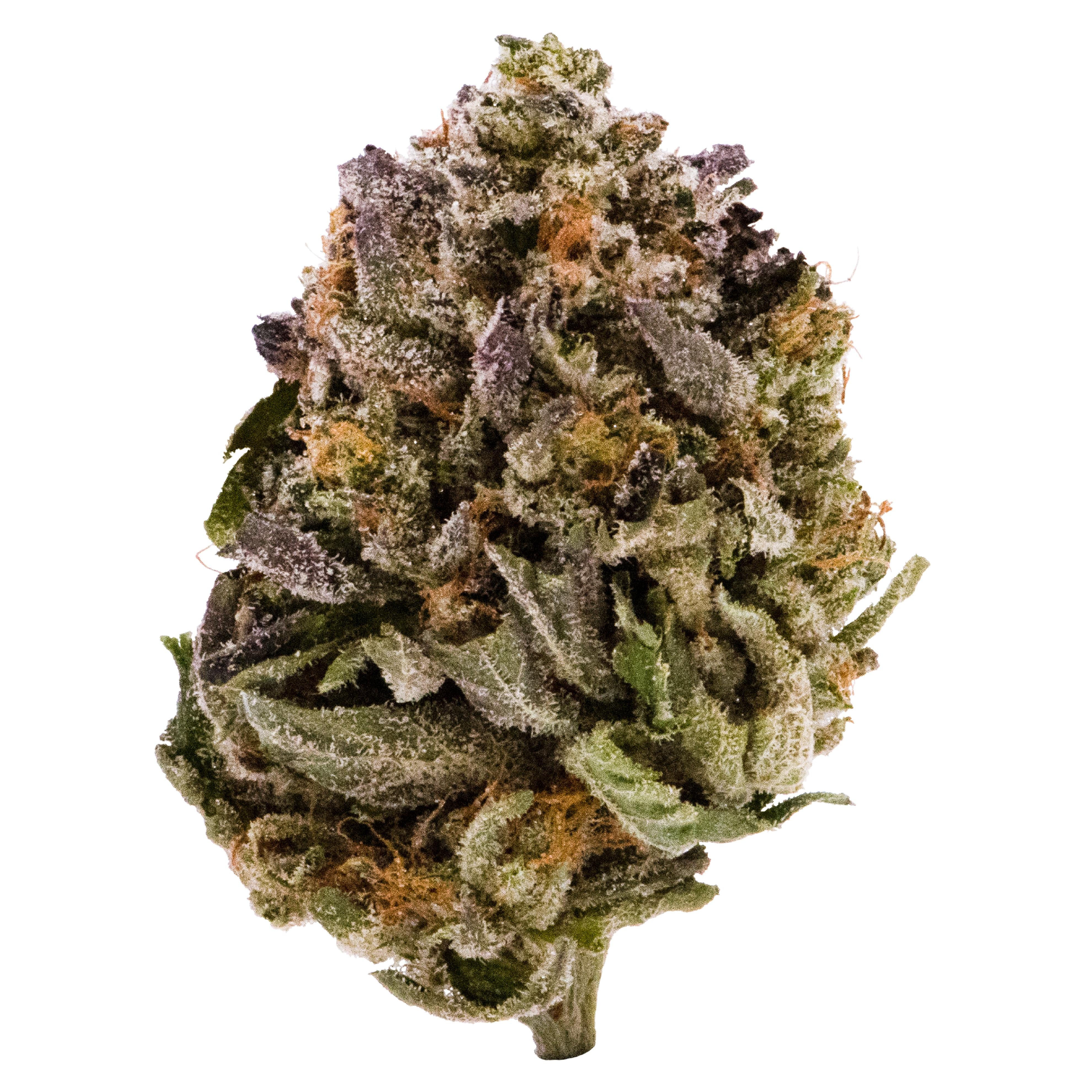 CANNA FARMS PINK KUSH (IND) DRIED - 3.5G