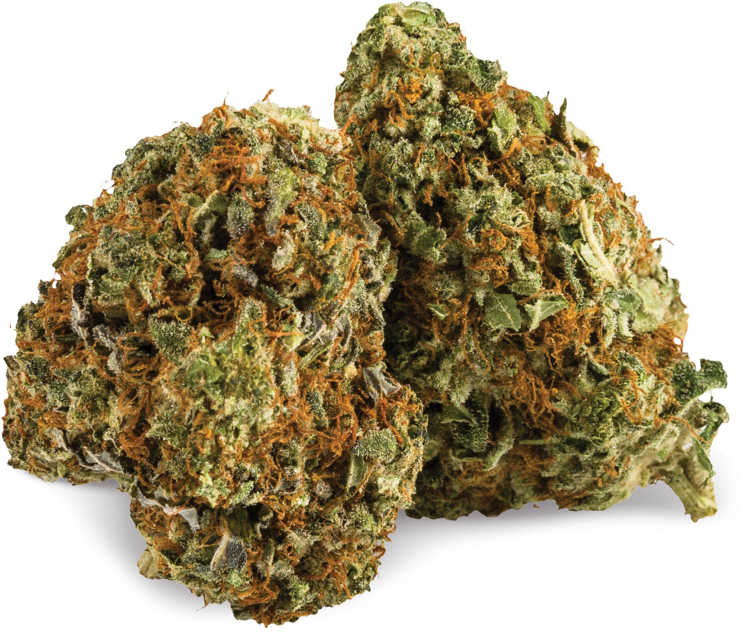 AURORA LA CONFIDENTIAL (IND) DRIED - 7G