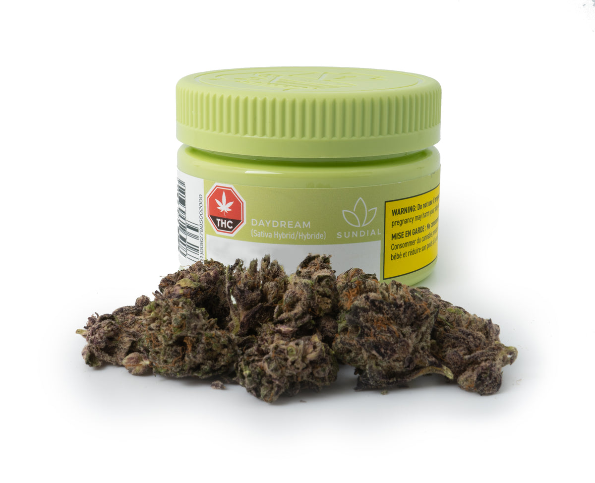 SUNDIAL DAYDREAM (S) DRIED - 3.5G