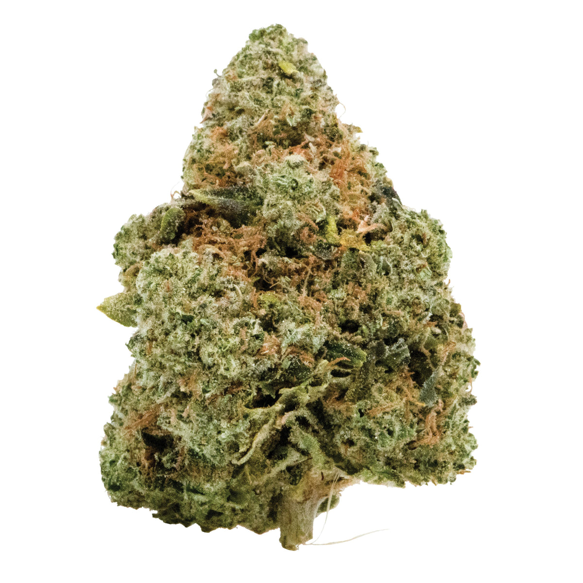CANNA FARMS GSC (IND) DRIED - 3.5G