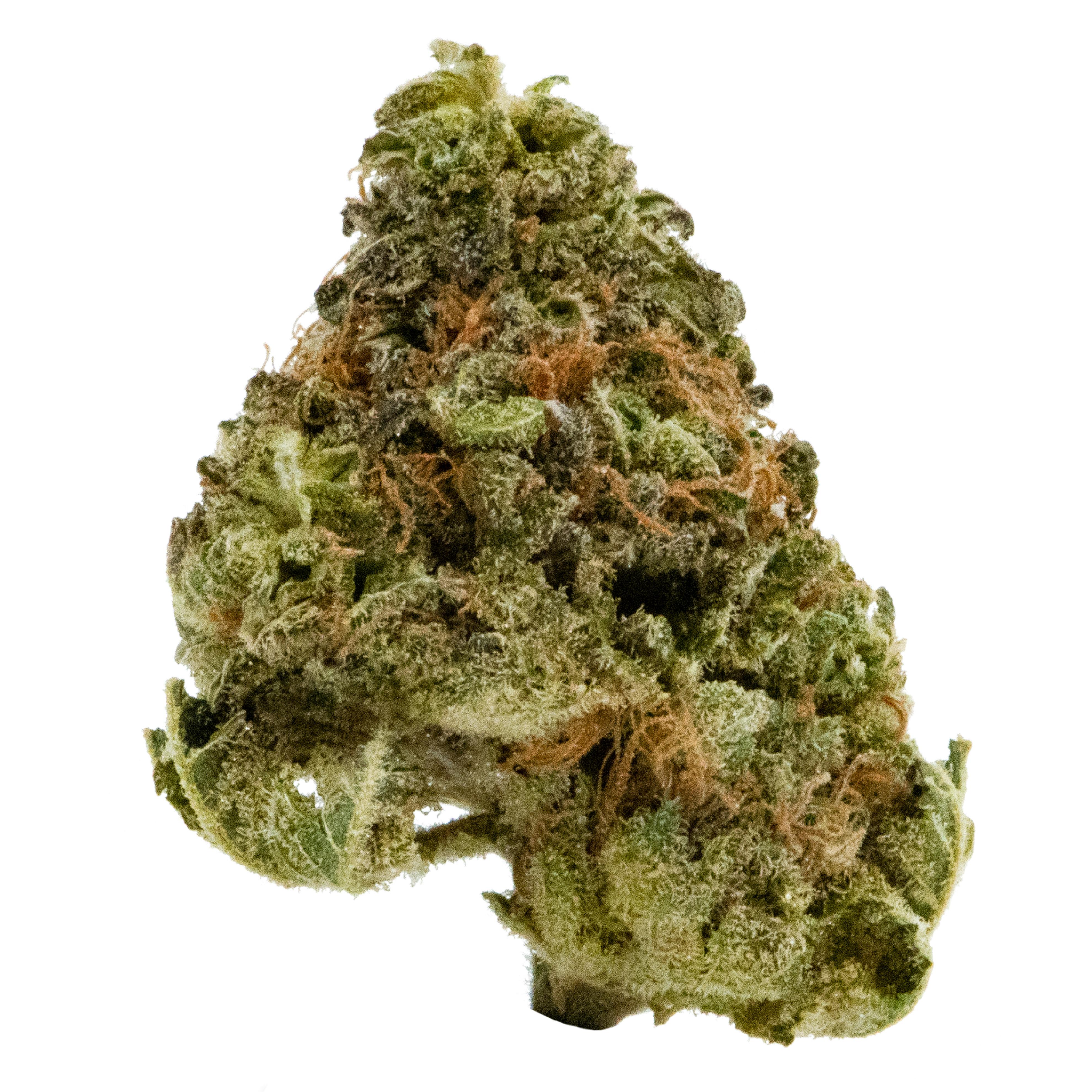 CANNA FARMS CRITICAL SILVER SUPER HAZE (S) DRIED - 3.5G