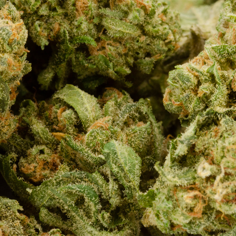 HEXO HELIOS FLOWER (S) DRIED - 3.5G