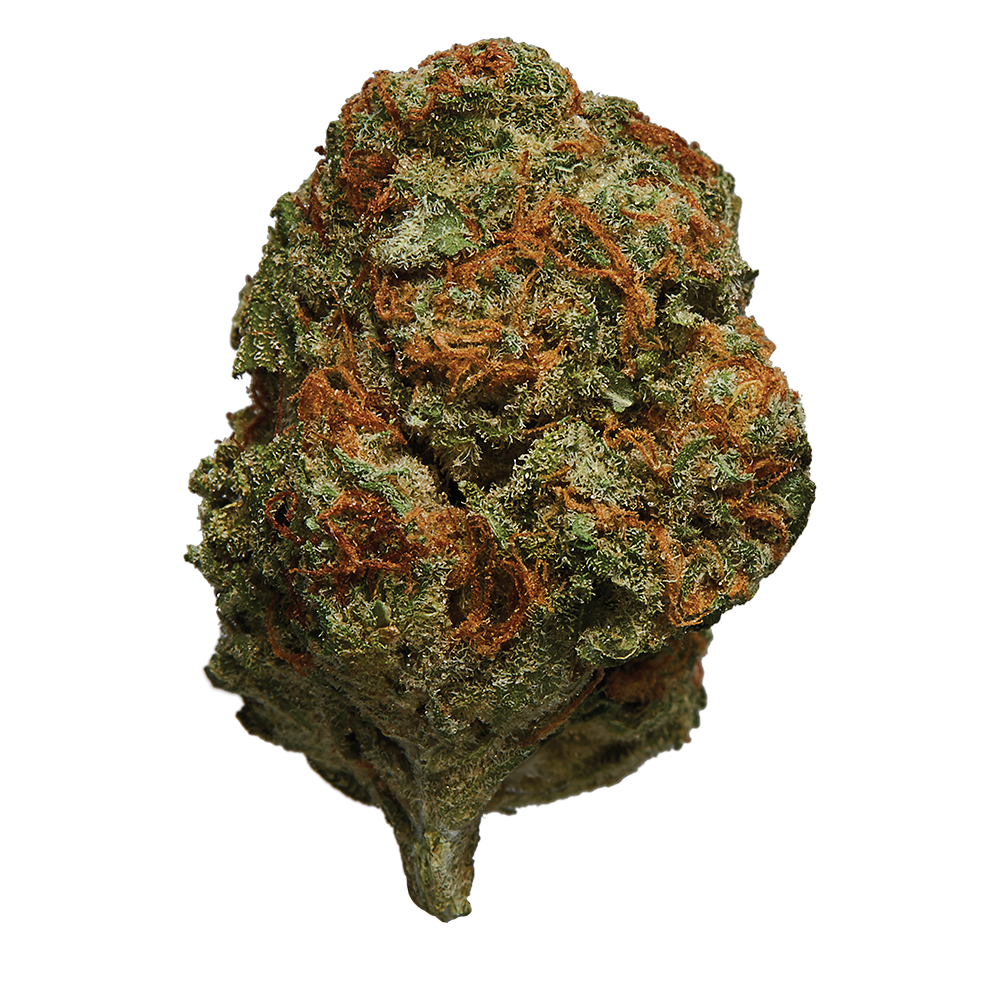 HEXO ATLANTIS FLOWER (H) DRIED - 3.5G