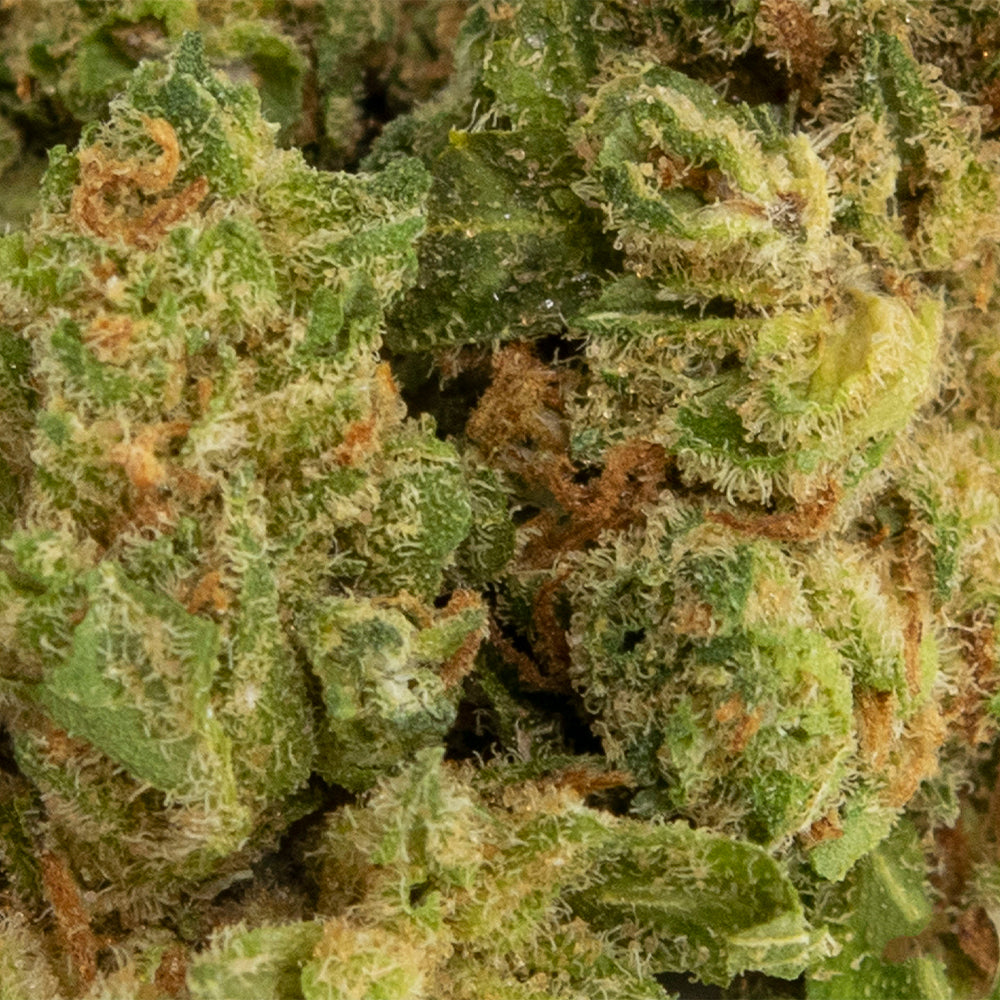 HEXO ATLANTIS FLOWER (H) DRIED - 3.5G