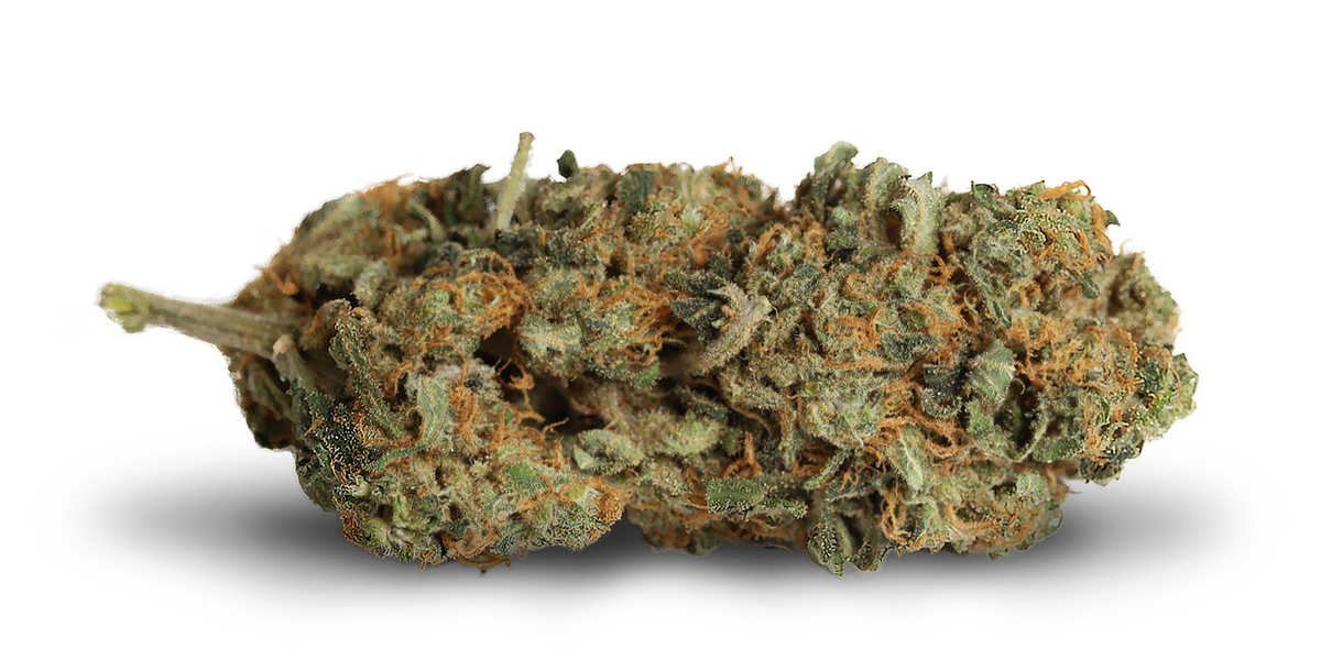 KIWI CANNABIS MANGO HAZE (S) DRIED - 3.5G