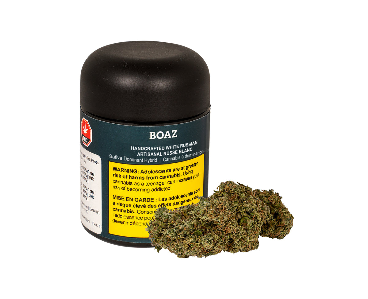 BOAZ WHITE RUSSIAN (H) DRIED - 3.5G