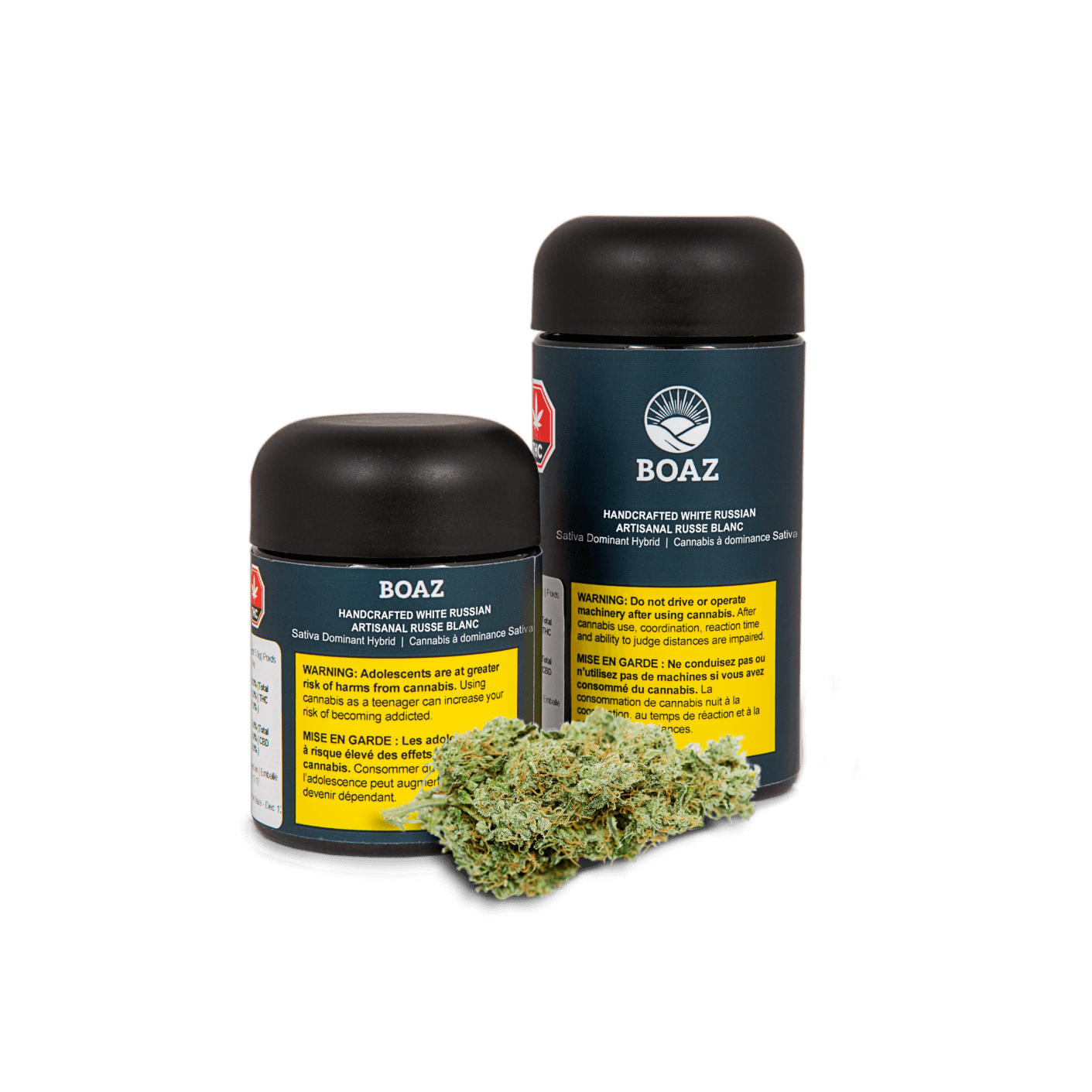 BOAZ WHITE RUSSIAN (H) DRIED - 5G