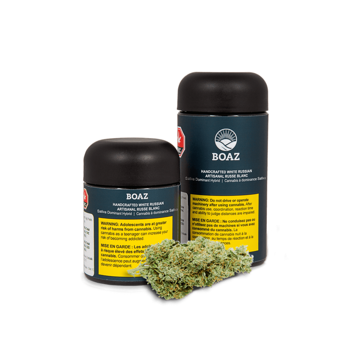 BOAZ WHITE RUSSIAN (H) DRIED - 5G