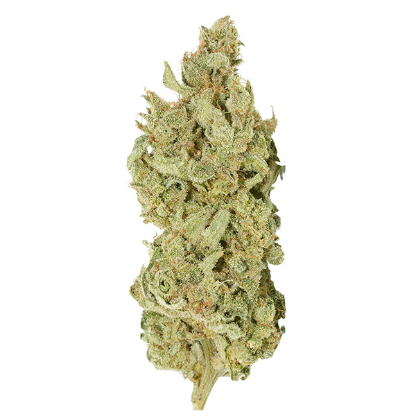 TANTALUS LABS SKY PILOT (H) DRIED - 3.5G