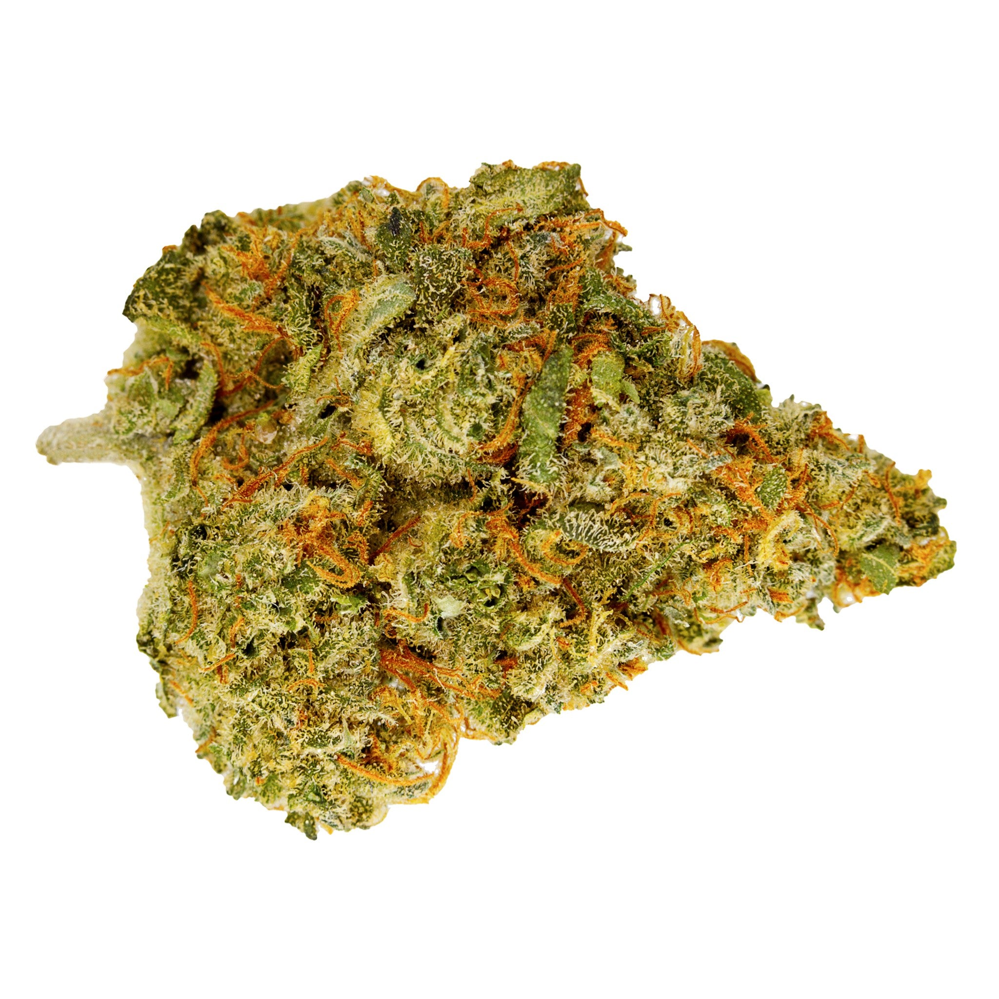 WHISTLER CANNABIS CHOCOLOPE (S) DRIED - 3.5G