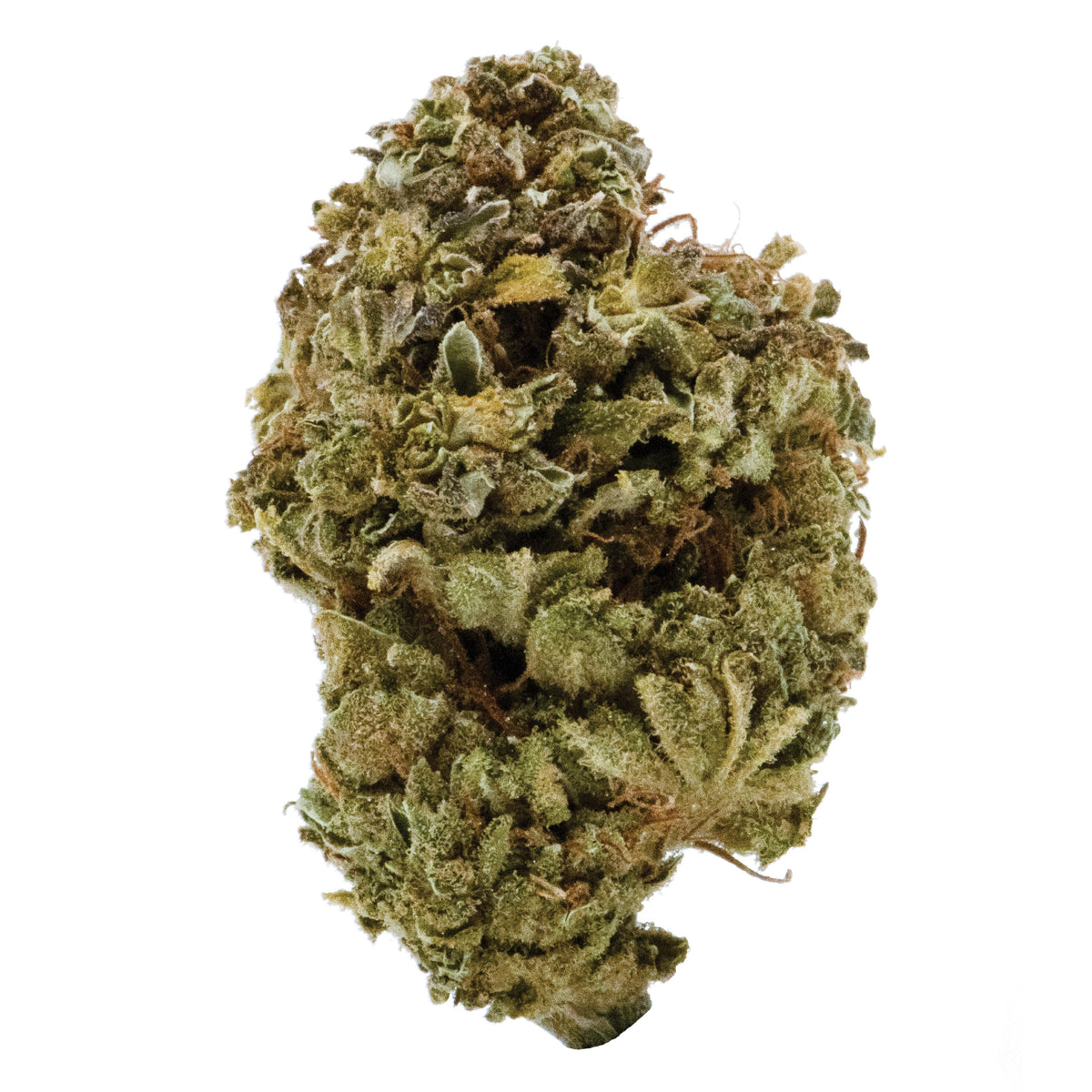 CANNA FARMS BUBBA KUSH (IND) DRIED - 3.5G