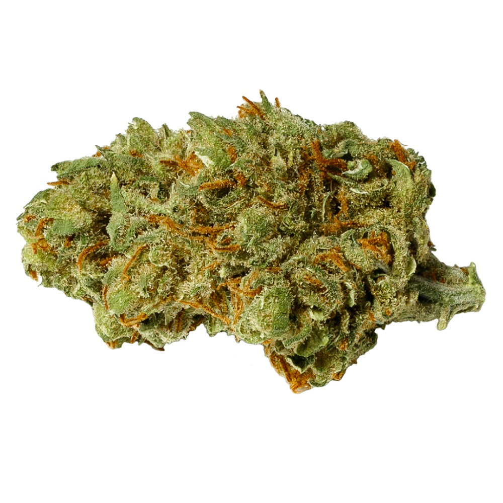 PURE SUNFARMS CRITICAL KALI MIST (S) DRIED - 3.5G