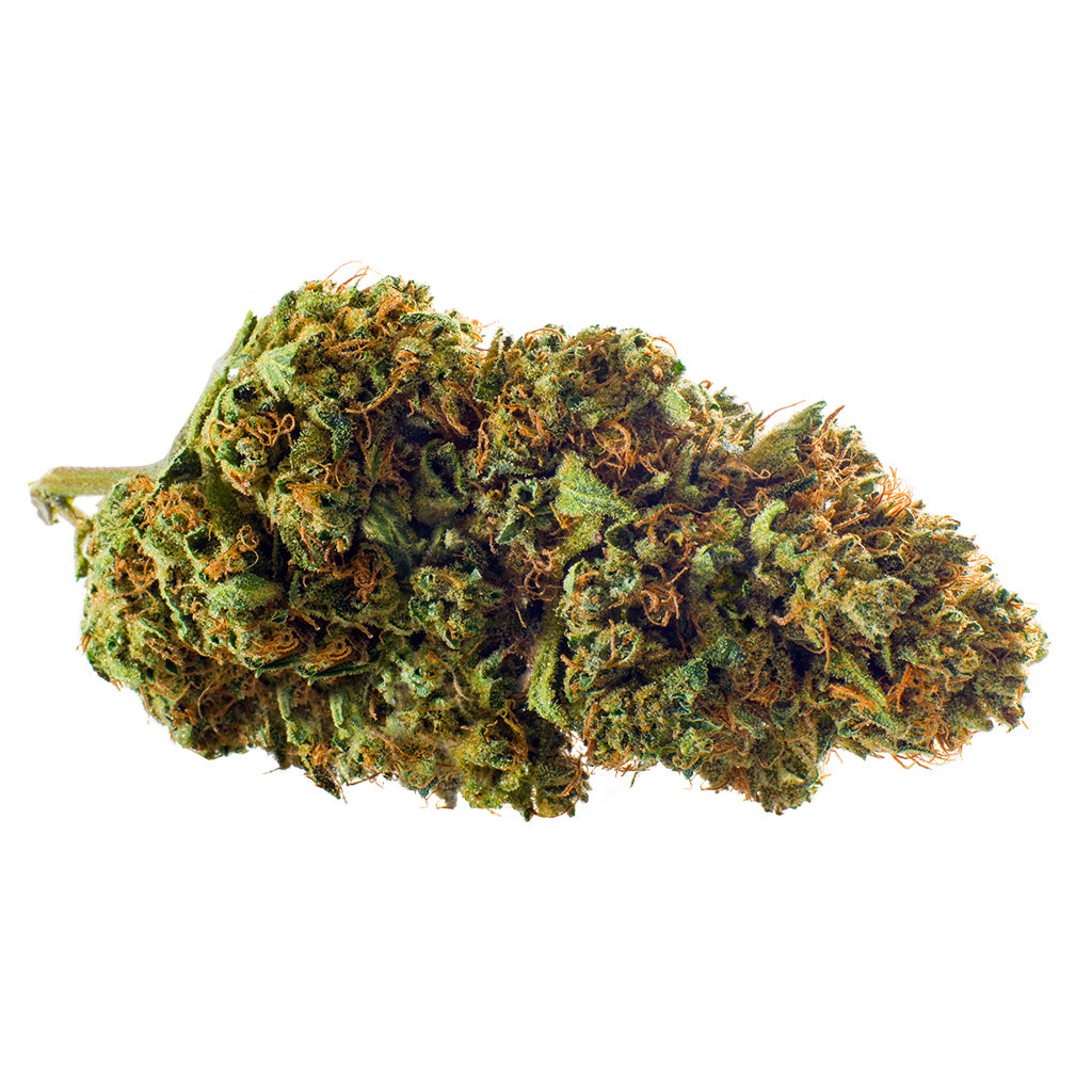 REDECAN COLD CREEK KUSH (S) DRIED - 1G