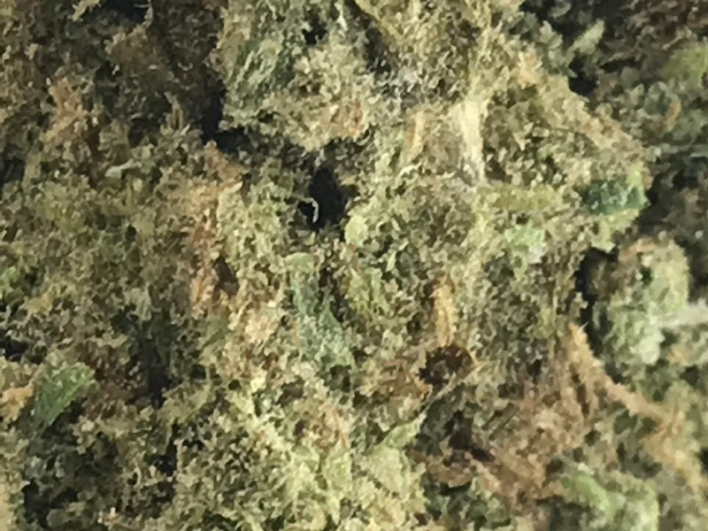 ABBA MEDIX PURPLE BUD (IND) DRIED - 3.5G