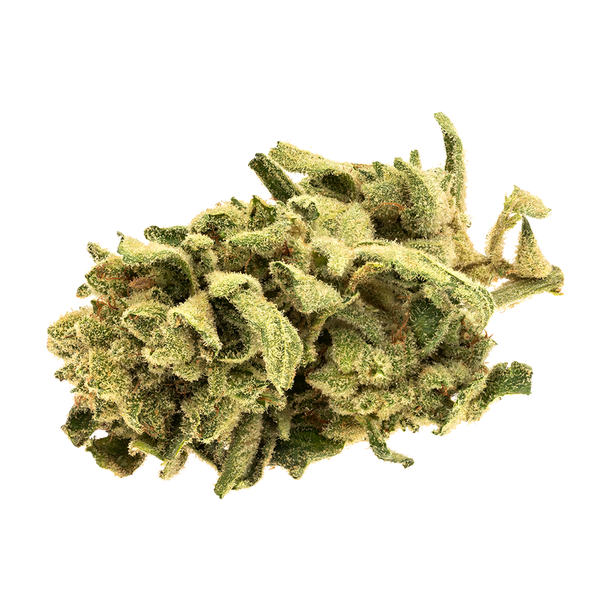 GOOD SUPPLY MONKEY GLUE (H) DRIED - 3.5G