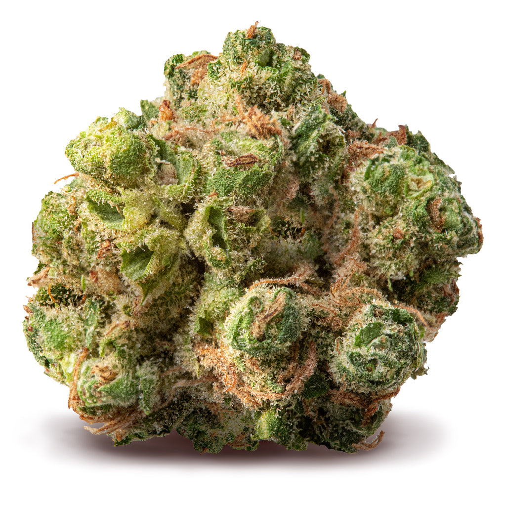 SPINACH DIESEL (H) DRIED - 3.5G