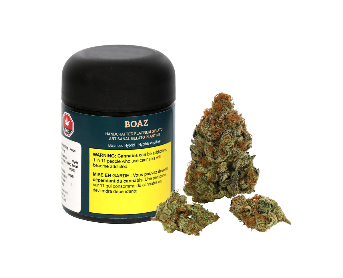 BOAZ PLATINUM GELATO (H) DRIED - 3.5G