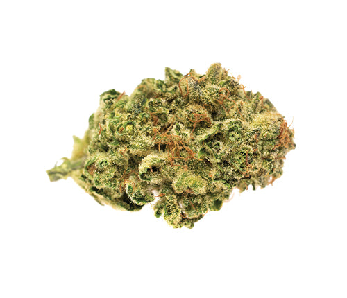 SOLEI GATHER (S) DRIED - 7G