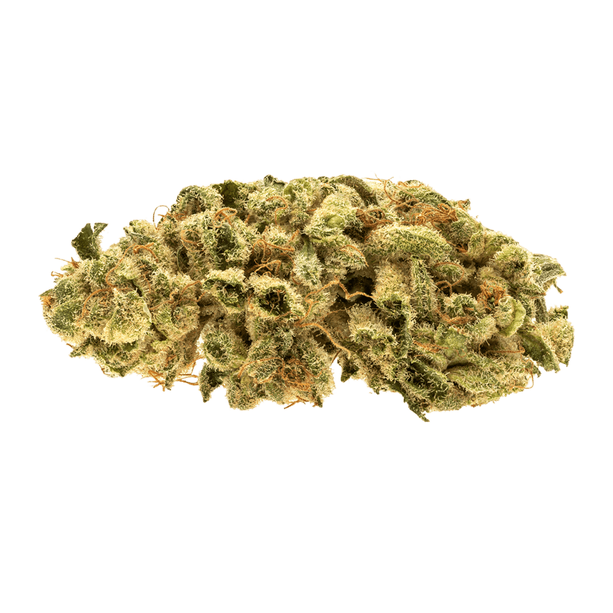RIFF DT81 (S) DRIED - 3.5G
