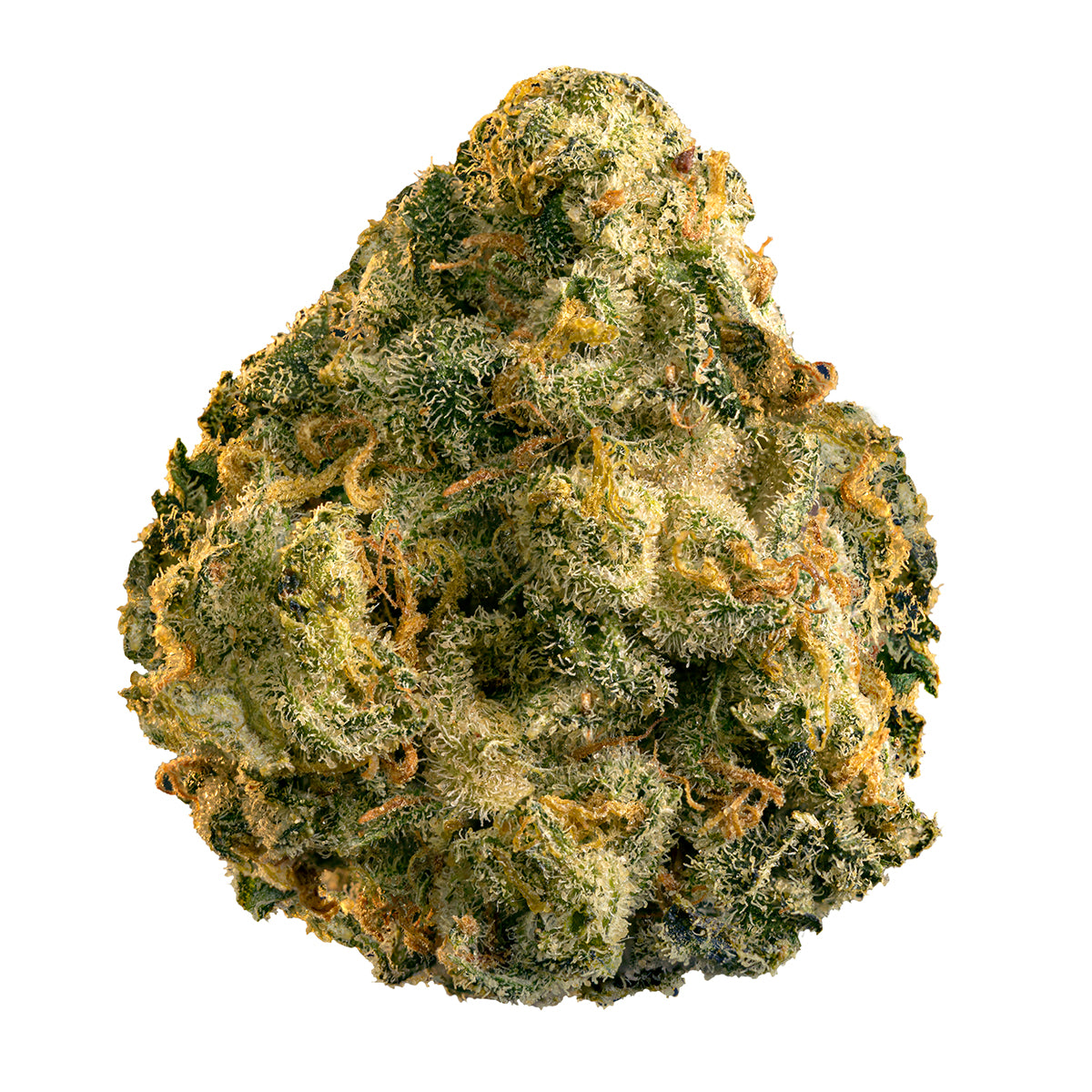 EDISON THE GENERAL (S) DRIED - 3.5G