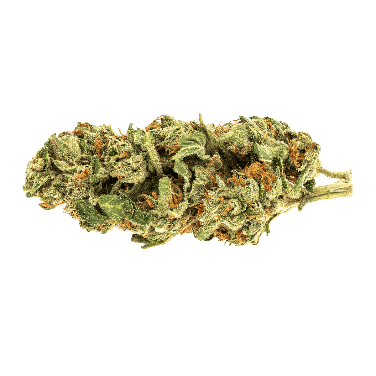 RIFF HAWAII HEARTBREAK (IND) DRIED - 7G