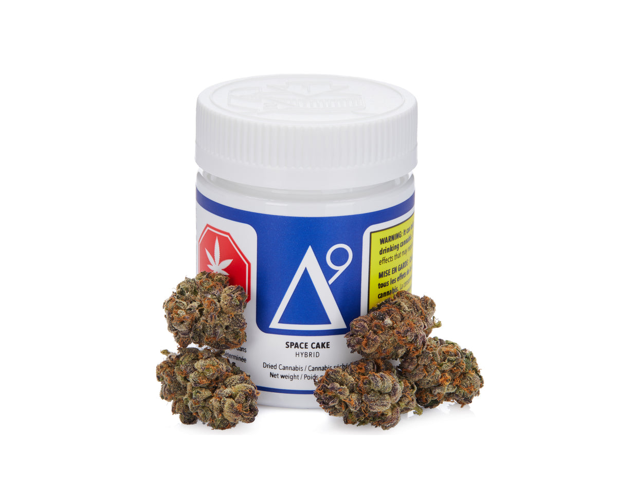 DELTA 9 SPACE CAKE (H) DRIED - 3.5G