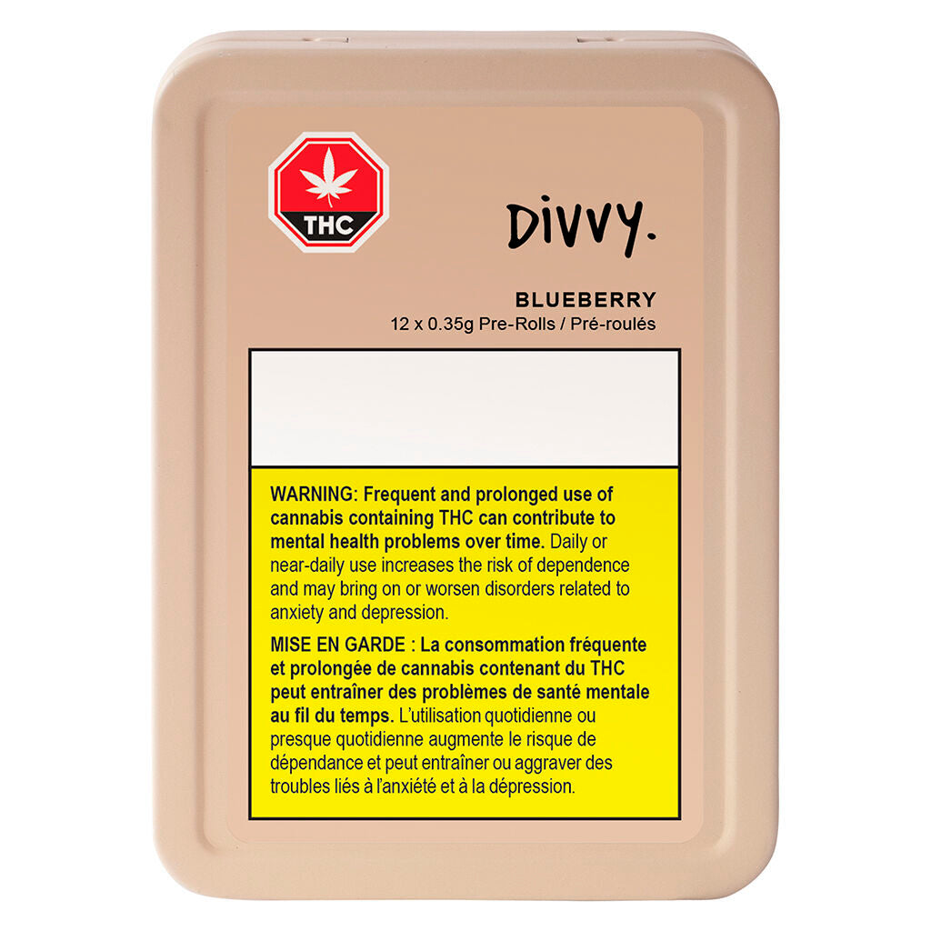CANACA BLUEBERRY (IND) DRIED - 15G