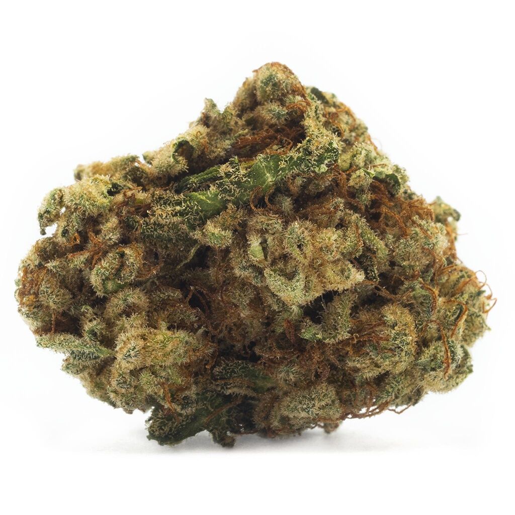 HOUSEPLANT HYBRID (H) DRIED - 7G
