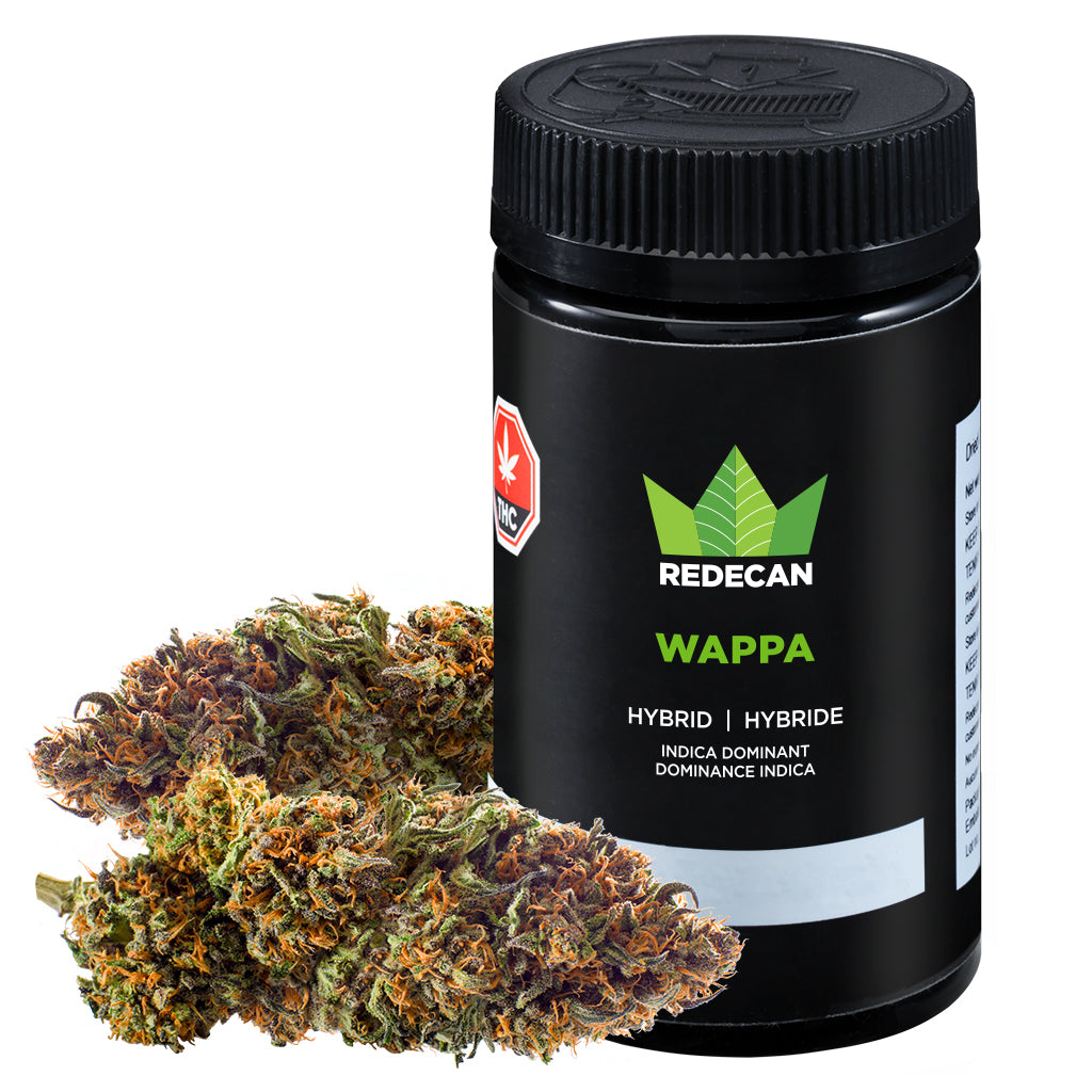 REDECAN WAPPA (IND) DRIED - 15G
