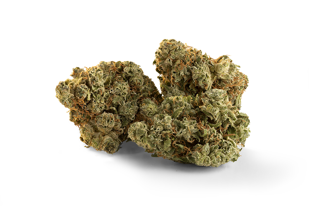 TRAILBLAZER SPARK BUDS (S) DRIED - 15G