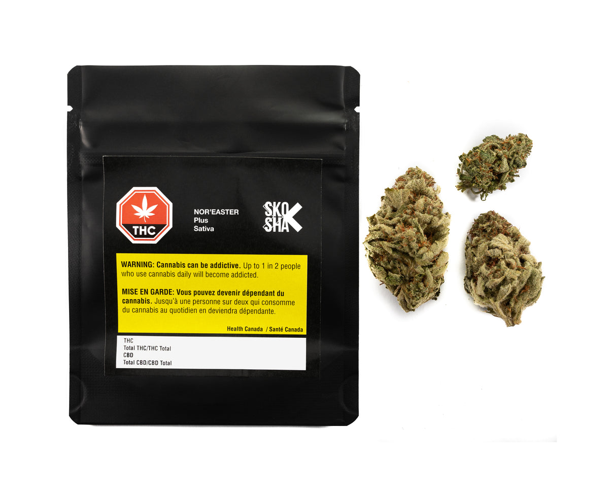 SKOSHA NOR'EASTER PLUS (S) DRIED - 3.5G