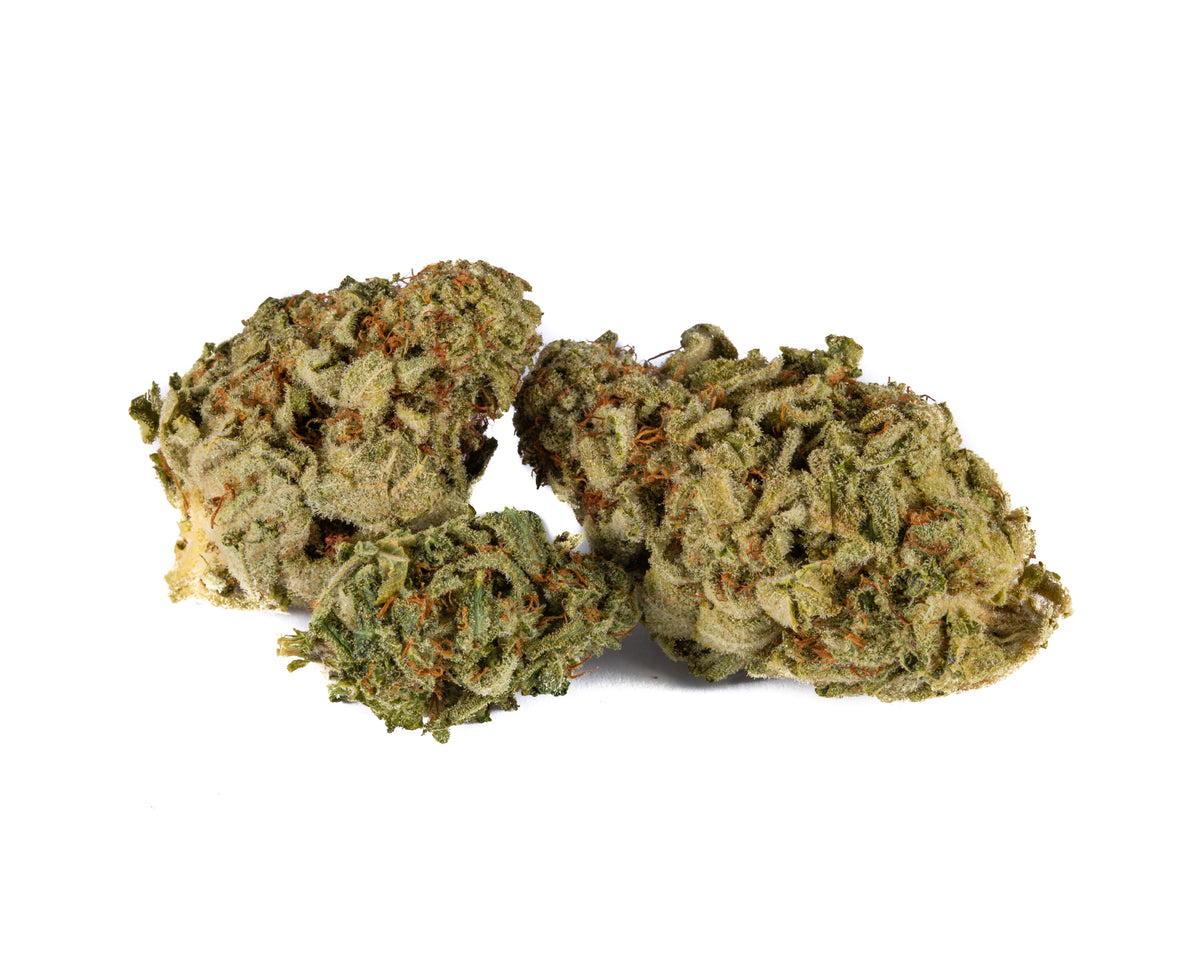 SKOSHA NOR'EASTER PLUS (S) DRIED - 3.5G