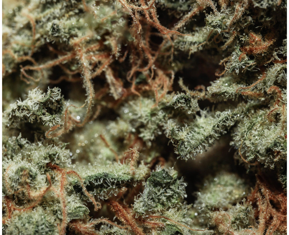 OGEN GAS BERRIES 112 (IND) DRIED - 3.5G
