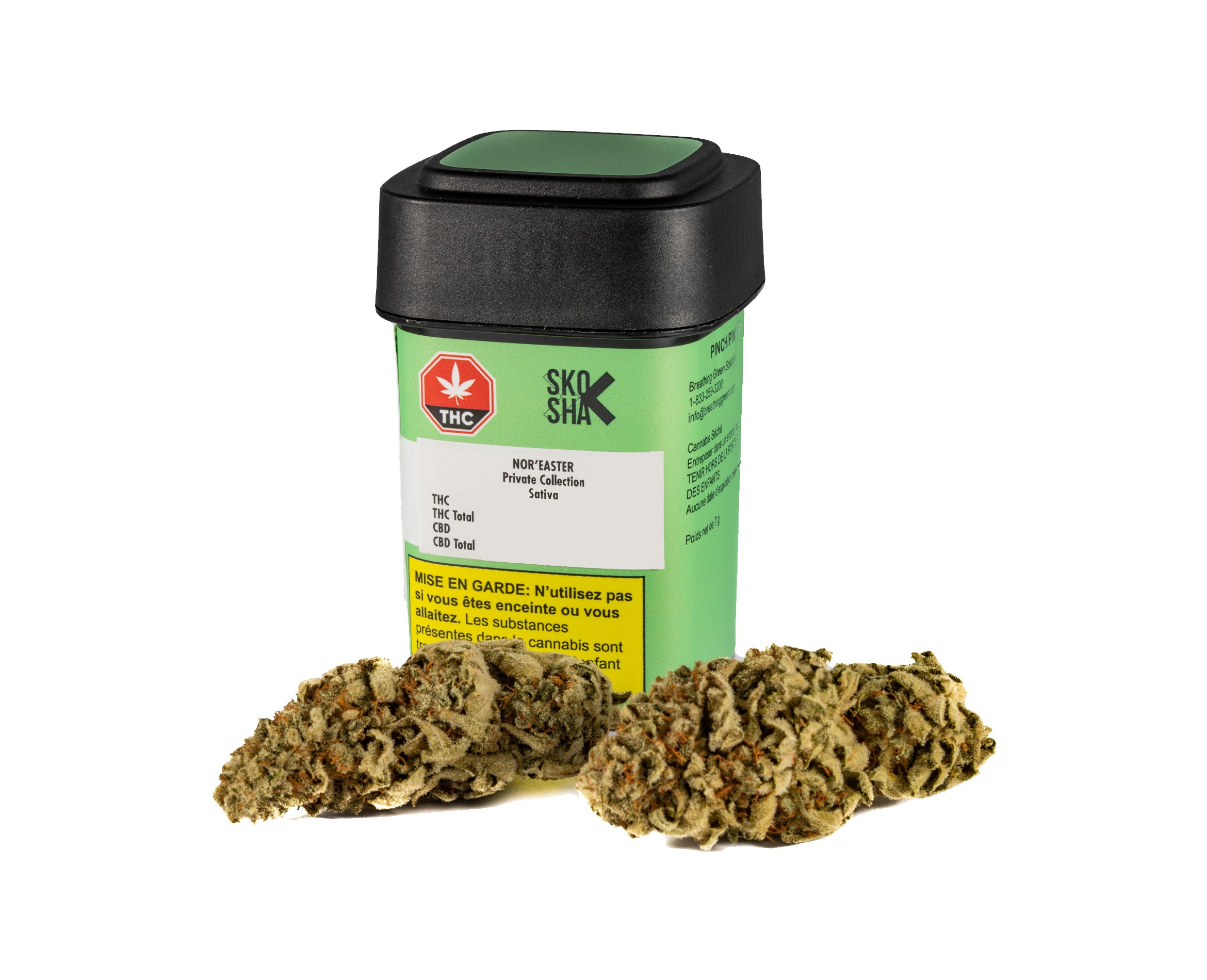 SKOSHA NOR'EASTER PRIVATE COLLECTION (S) DRIED - 7G