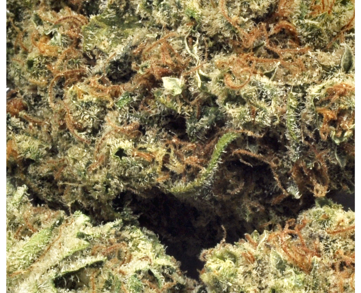 STRAIN REC CANDY KUSH (IND) DRIED - 3.5G
