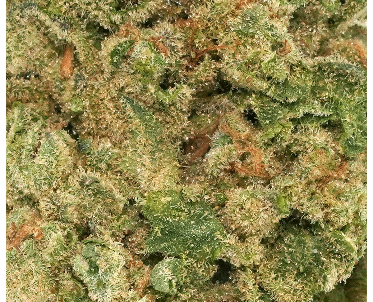 TANTALUS LABS LA KUSH CAKE (H) DRIED - 3.5G