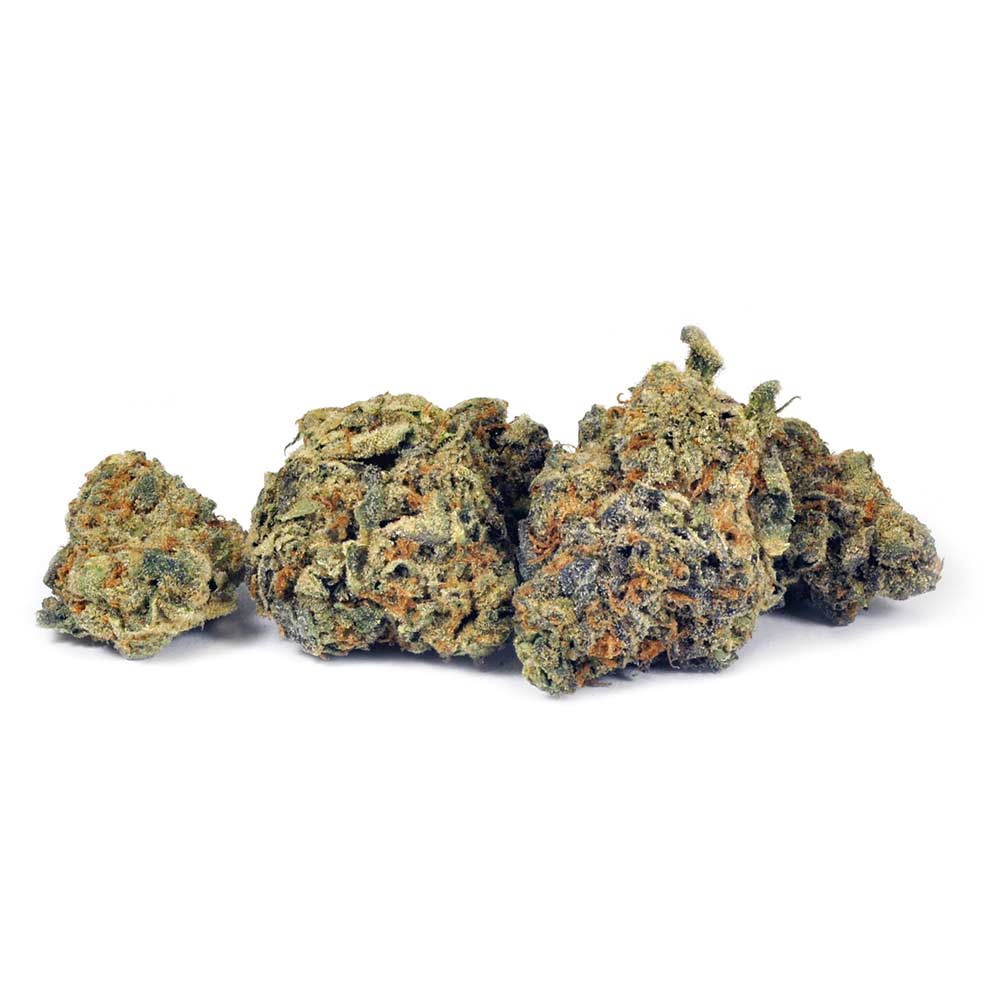 STRAIN REC ICE CREAM CAKE (H) DRIED - 3.5G